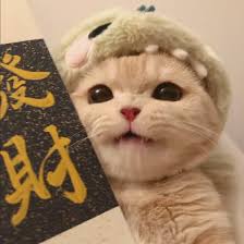 Ảnh đại diện người dùng Nguyễn Văn Quốc